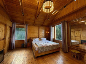 The Cabin Dalhousie